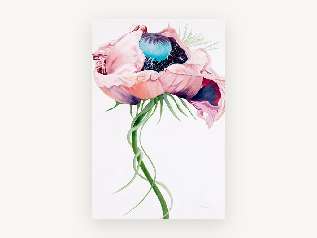 Open Pink Poppy, floral canvas wall art print, front view