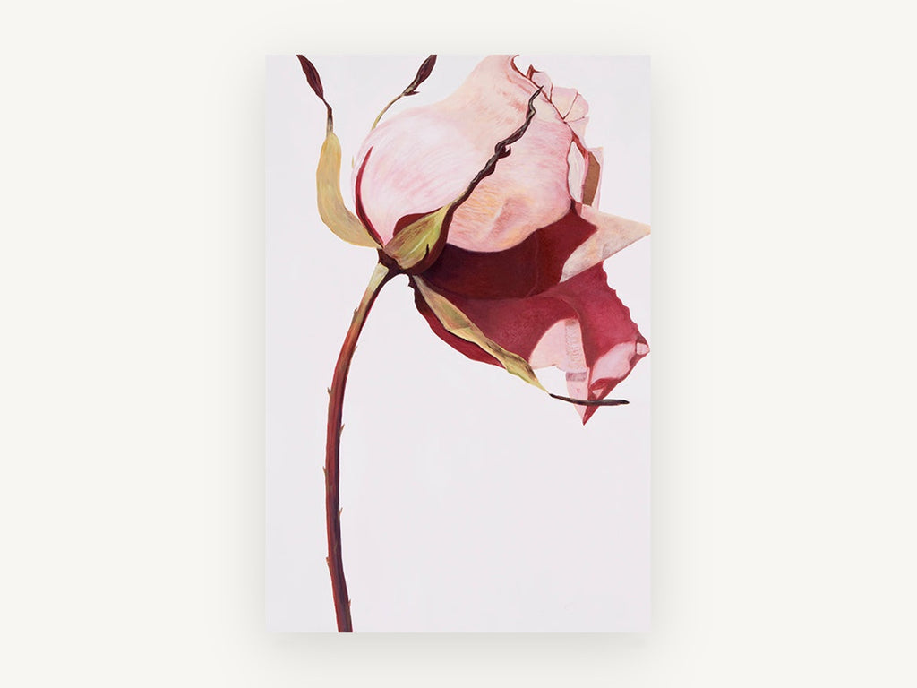 Drooping Pink Rose, floral canvas wall art print, front view