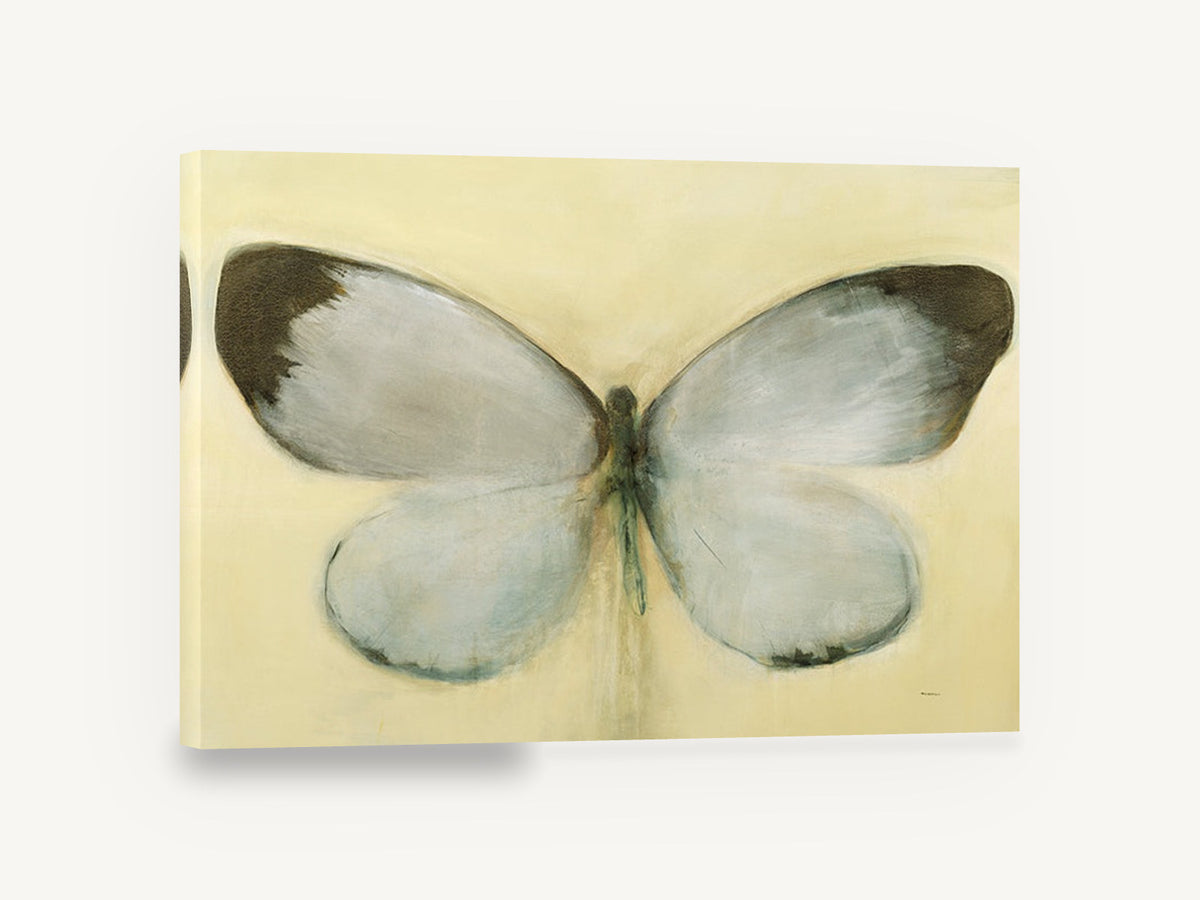 Pale Wing Study, pale butterfly wings illustration, animal canvas wall art print ready to hang