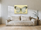 Pale Wing Study animal canvas print on the wall of a living room