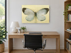 Pale Wing Study animal canvas print on the wall of a study