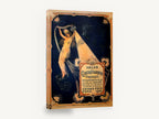 Light of the Cinématographe, vintage french cinema advertising poster, stretched canvas wall art print ready to hang