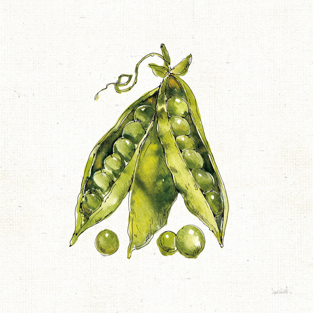 Veggie Market Peas IV Wall Art Print