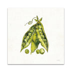 Veggie Market Peas IV Wall Art Print