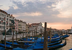 Venice Gondolas Wall Art Print