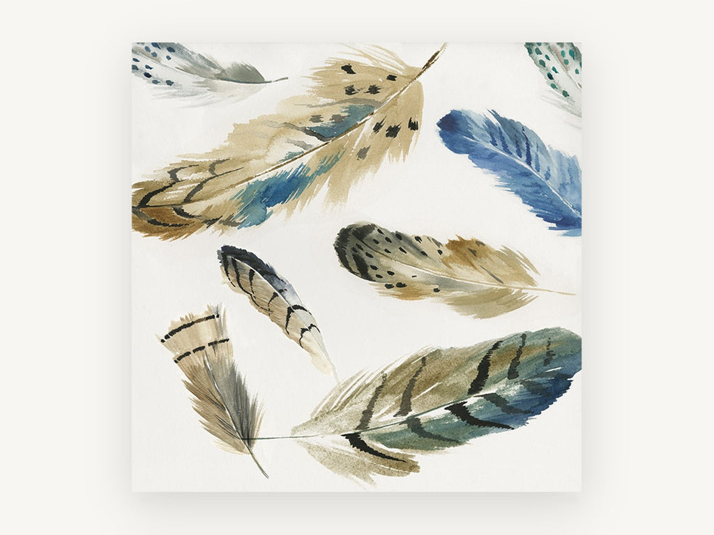 Scattered Feather Study, watercolour feathers botanical style, animal canvas wall art print, front view