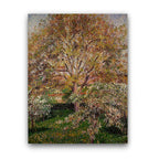 Camille Pissarro | The Walnut and Apple Trees in Bloom at Eragny
