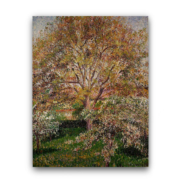 Camille Pissarro | The Walnut and Apple Trees in Bloom at Eragny