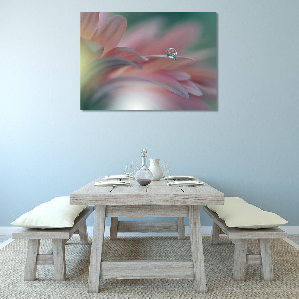 Water Drop on Petal Wall Art Print on the wall