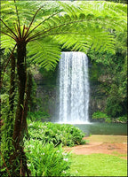 Waterfall Over Cliff Wall Art Print