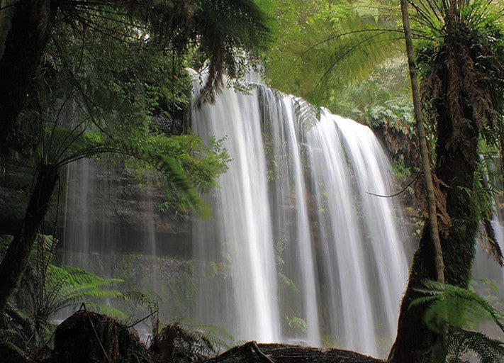 Waterfall Tasmania Australia Wall Art Print