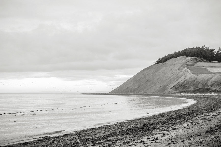Whidbey Island Wall Art Print