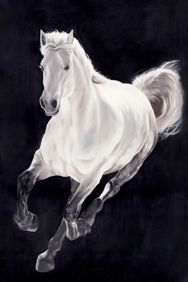 White Horse Wall Art Print