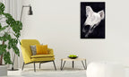 White Horse Wall Art Print on the wall
