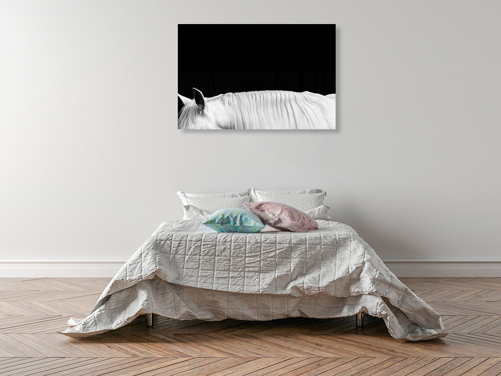 White Horse on Black II Wall Art Print on the wall