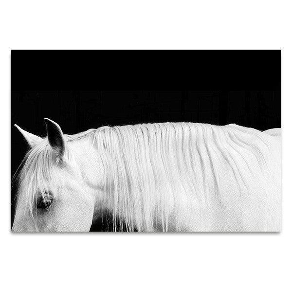 White Horse on Black I Wall Art Print 