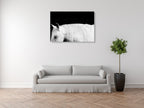 White Horse on Black I Wall Art Print on the wall