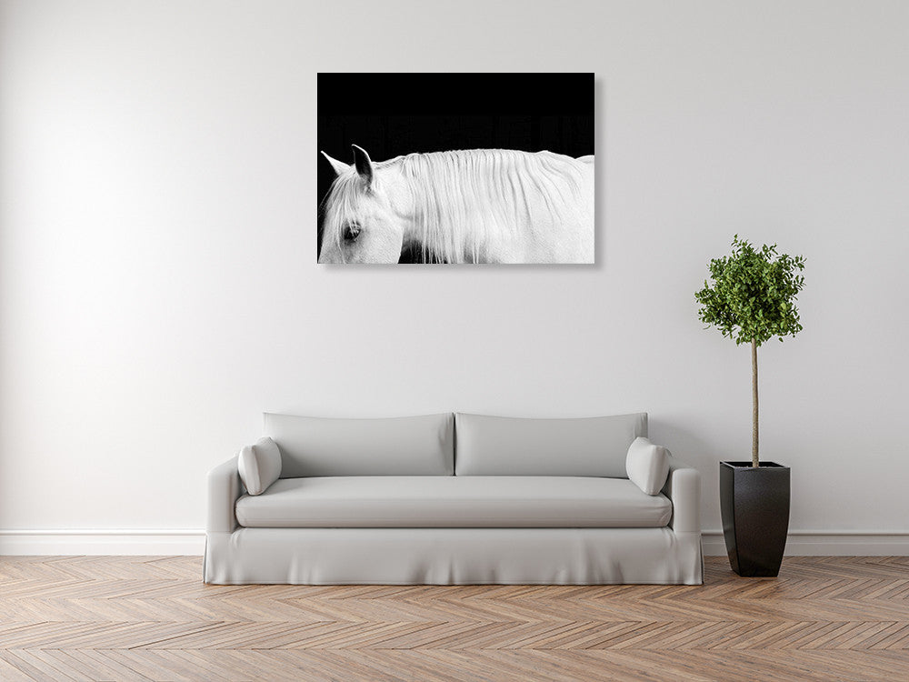 White Horse on Black I Wall Art Print on the wall