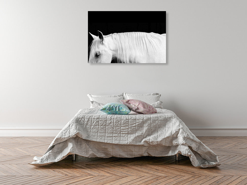 White Horse on Black I Wall Art Print on the wall