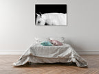 White Horse on Black I Wall Art Print on the wall