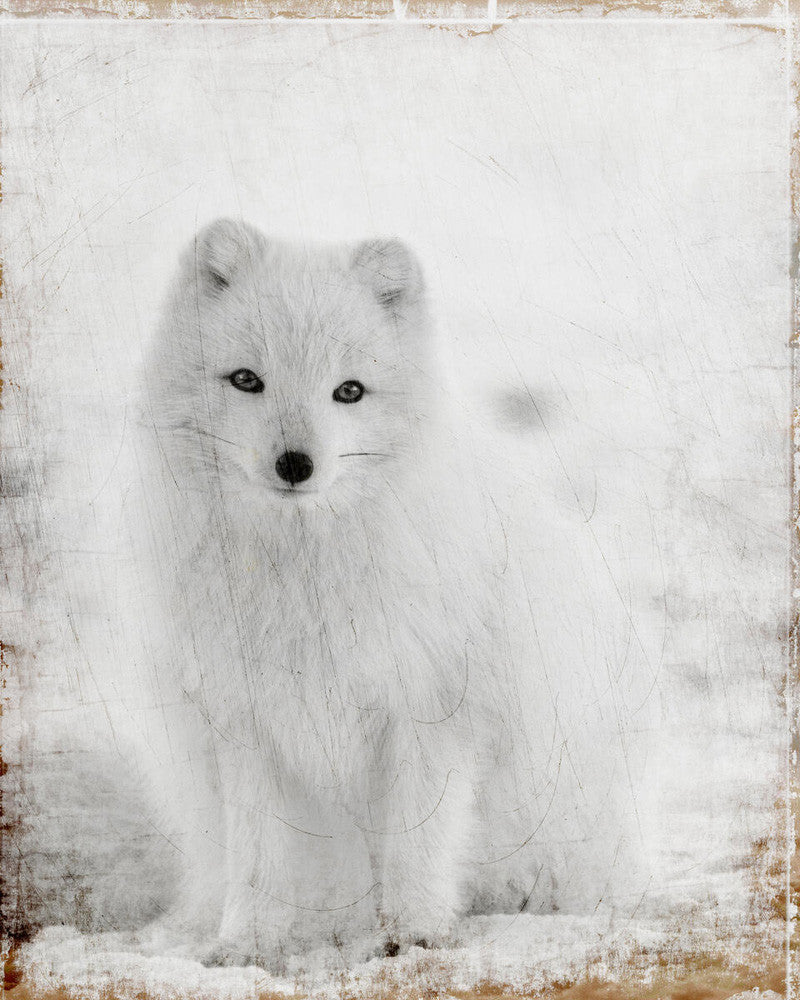 White Out Wall Art Print