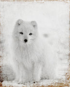 White Out Wall Art Print