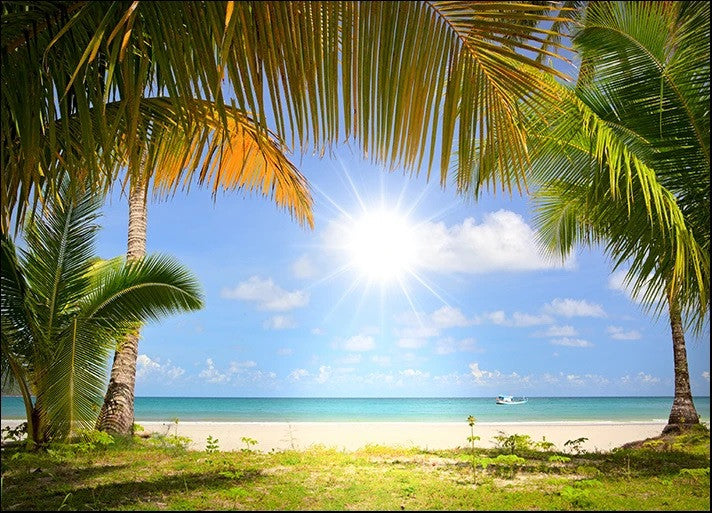 White Sandy Beach Wall Art Print