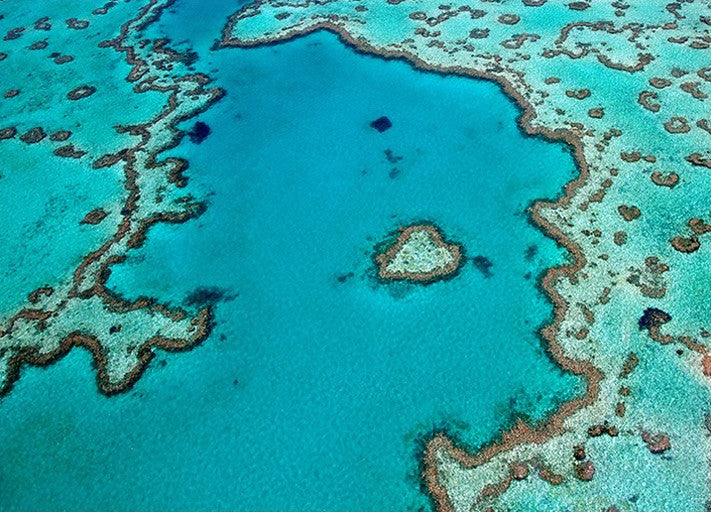 Whitsundays Island Great Barrier Reef Wall Print