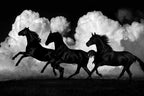 Wild Horses Wall Art Print