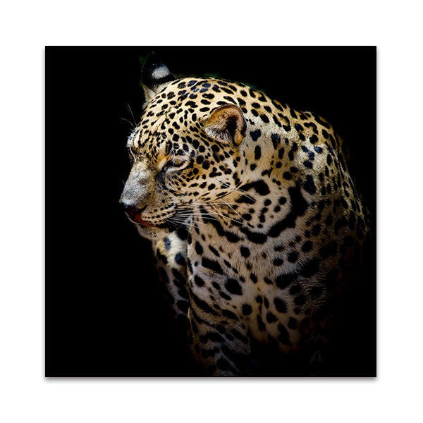 Wild Leopard Wall Art Print