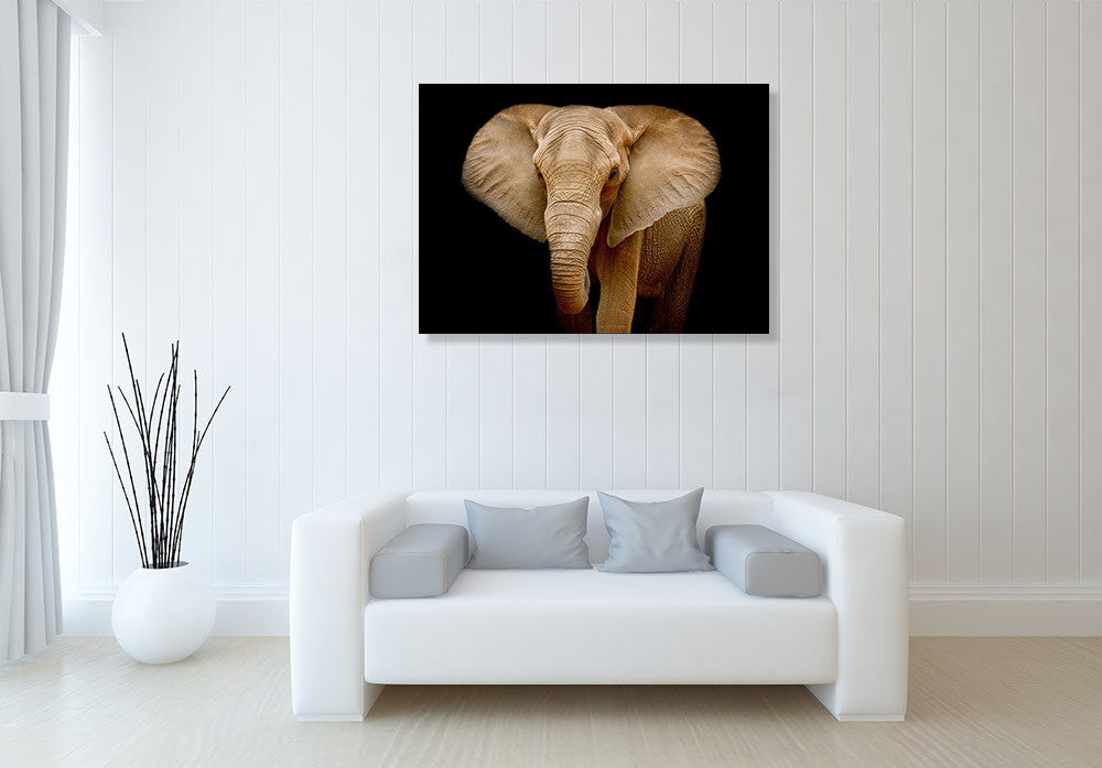 Wildlife Elephant Wall Art Print on the wall
