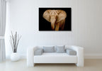 Wildlife Elephant Wall Art Print on the wall