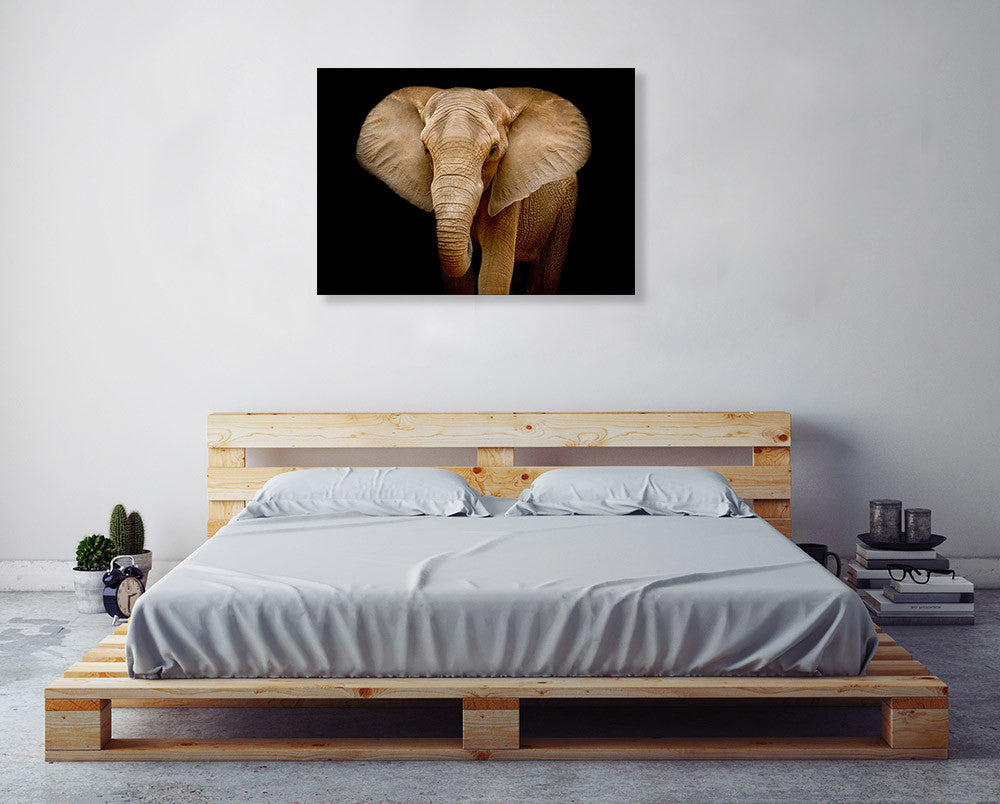 Wildlife Elephant Wall Art Print on the wall