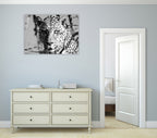 Wildlife Leopard Wall Art Print on the wall