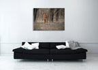 Wildlife Tiger Wall Art Print on the wall