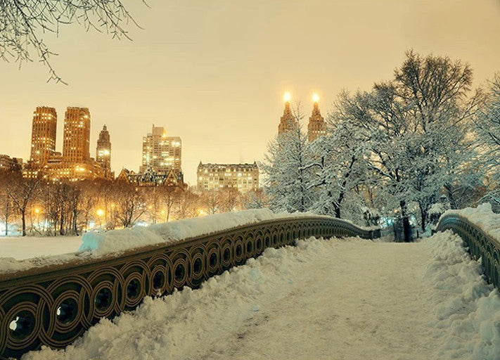 Winter Manhattan New York City Print