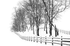 Winter Wonderland Wall Art Print 