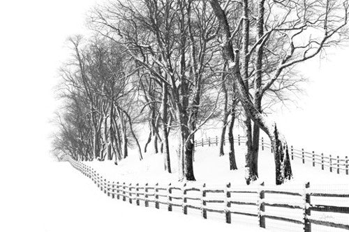 Winter Wonderland Wall Art Print 