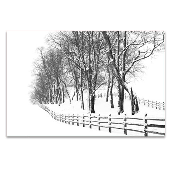 Winter Wonderland Wall Art Print 