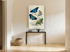 Blue and Green Butterfly Study animal canvas print on the wall of a hallway