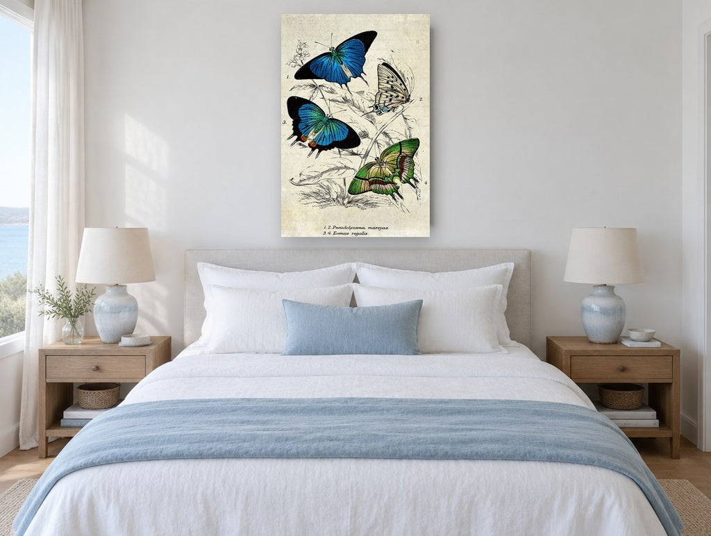 Blue and Green Butterfly Study animal canvas print on the wall of a bedroom