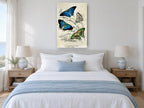 Blue and Green Butterfly Study animal canvas print on the wall of a bedroom