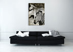 Zebras Wall Art Print on the wall