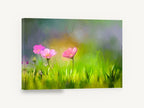 Cosmos in Green Meadow, pink cosmos flowers meadow painting, floral canvas wall art print ready to hang