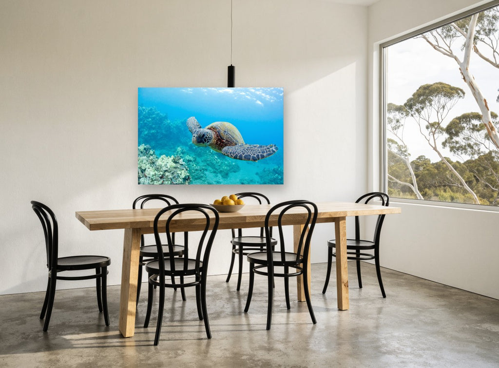 Turtle Over the Reef coastal canvas print on the wall of a dining room