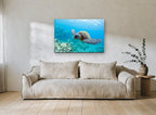 Turtle Over the Reef coastal canvas print on the wall of a living room