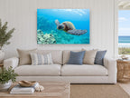 Turtle Over the Reef coastal canvas print on the wall of a beach house living room