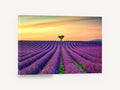 Lavender Rows at Dusk, lavender field sunset tree photograph, landscape canvas wall art print ready to hang