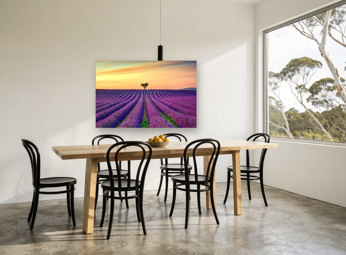 Lavender Rows at Dusk landscape canvas print on the wall of a dining room