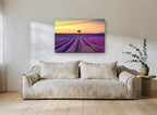 Lavender Rows at Dusk landscape canvas print on the wall of a living room